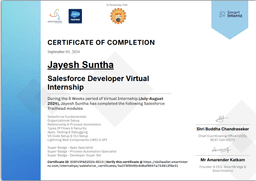 Project Image for Salesforce Developer Virtual Internship